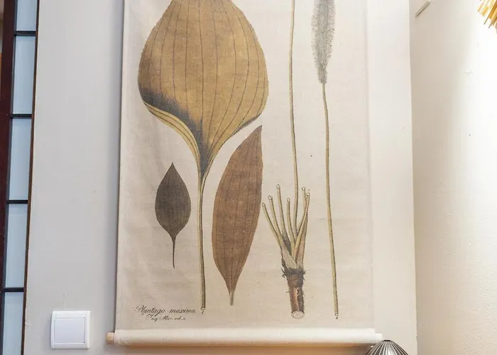 Boheme - Climatise - 2 Pas Du Port - Rue Du Cepoun San Martin