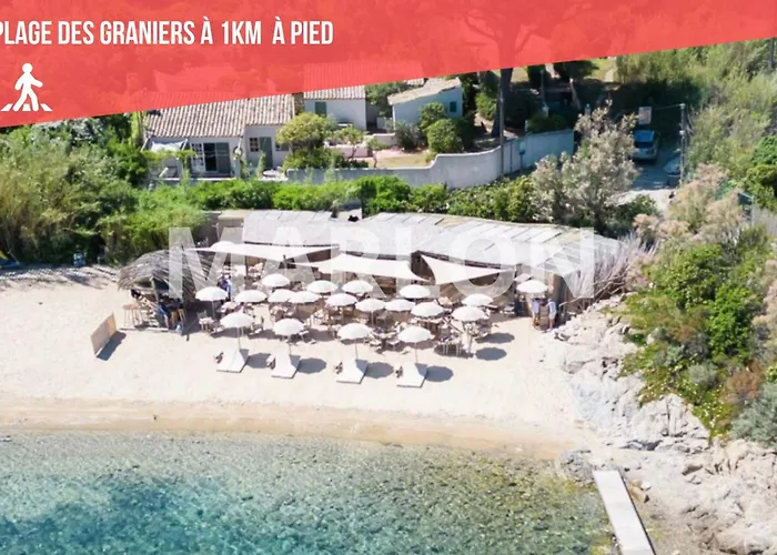 Boheme - Climatise - 2 Pas Du Port - Rue Du Cepoun San Martin Apartment